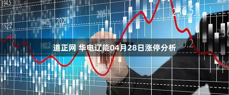 道正网 华电辽能04月28日涨停分析