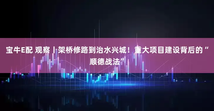 宝牛E配 观察丨架桥修路到治水兴城！重大项目建设背后的“顺德战法”