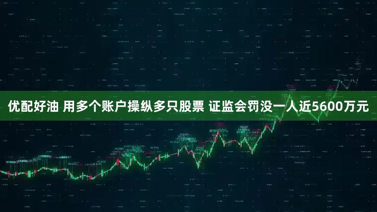优配好油 用多个账户操纵多只股票 证监会罚没一人近5600万元